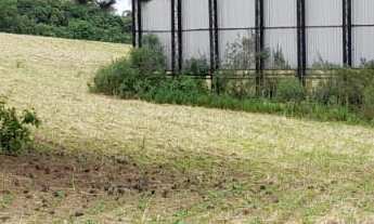 Imagem: Chácara - São Caetano - Balsa Nova - PR