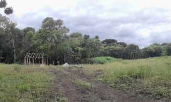 Imagem 4: Chácara - São Caetano - Balsa Nova - PR