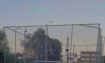 Imagem 4: Apartamento em Jardim Itaqui, Campo Largo/PR