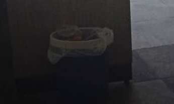 Imagem 5: CASA COMERCIAL - REBOUÇAS - CURITIBA - PR