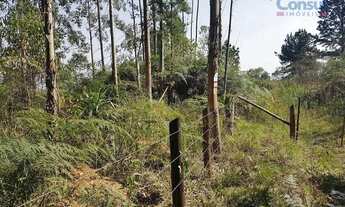 Imagem 7: Chácara - Área Ideal para Formação de Chácara ou Reflorestamento!