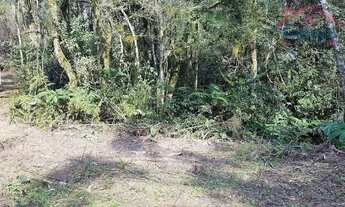 Imagem 4: Chácara - Área Ideal para Formação de Chácara ou Reflorestamento!