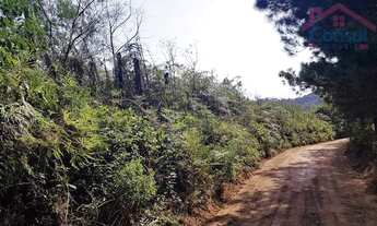 Imagem 5: Chácara - Área Ideal para Formação de Chácara ou Reflorestamento!