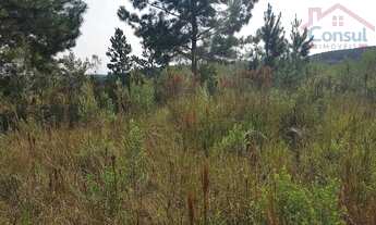 Imagem 2: Chácara - Área Ideal para Formação de Chácara ou Reflorestamento!