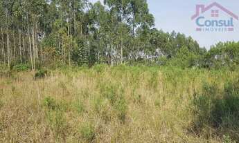 Imagem: Chácara - Área Ideal para Formação de