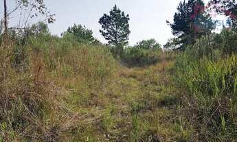 Imagem 6: Chácara - Área Ideal para Formação de Chácara ou Reflorestamento!