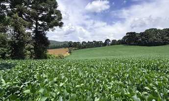 Imagem: Chácara -Área para formação 52.080m²