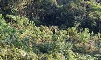 Imagem: Área Rural - Pedra Azul ! Area para Formar
