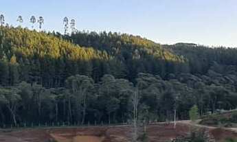 Imagem 7: Chácara com Linda Vista Panorâmica - Rodeio Santo Antonio - Balsa Nova/Pr