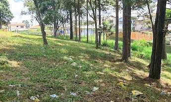 Imagem 6: ÁREA PARA EMPREENDIMENTO IMOBILIARIO RESIDENCIAL - JARDIM SOCIAL!