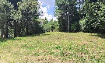 Imagem 4: ÁREA PARA EMPREENDIMENTO IMOBILIARIO RESIDENCIAL - JARDIM SOCIAL!