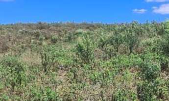 Imagem 5: Chácara Bugre!, 21000M² de Área Construída na Estrada Da Pedreira