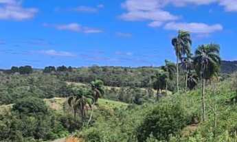 Imagem 7: Chácara Bugre!, 21000M² de Área Construída na Estrada Da Pedreira