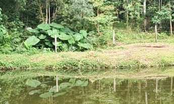 Imagem 6: Chácra - Cerrado!!