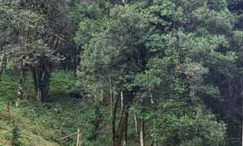 Imagem 4: Chácra - Cerrado!!