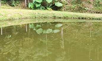 Imagem 7: Chácra - Cerrado!!