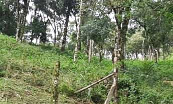 Imagem 5: Chácra - Cerrado!!