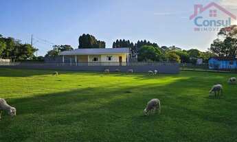 Imagem 4: Chácara -Área para formação 11.780m² - Bugre - Balsa Nova/PR