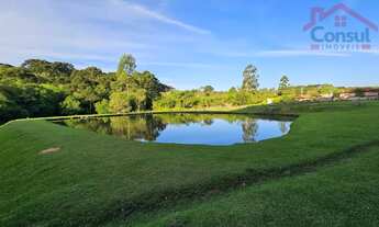 Imagem 3: Chácara -Área para formação 11.780m² - Bugre - Balsa Nova/PR