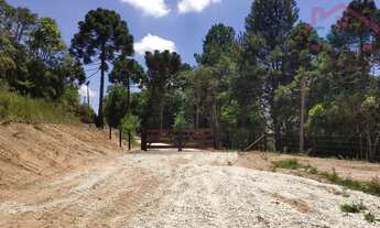 Imagem 3: Chácara - Area Rural Bugre!!