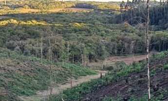 Imagem: Chácara - Área para Formar Chácara!