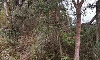 Imagem: Área para Formação Chácara Urbana