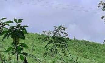 Imagem: Área Rural E - Chácara para Formar - Rodeio