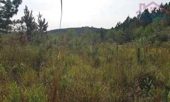 Imagem: Área Rural 5 Alqueires - 3 Barras de Cima