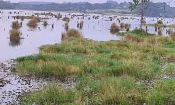 Imagem: Chácara Colonia Mariana! Área para Formação!