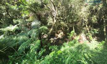 Imagem: Chácara Cantinho Amado, 34.133 m² - FELPUDO!