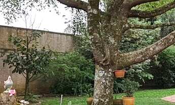 Imagem 6: Casa, Salão com Piscina - Sossego e Privacidade!! Salgadinho!