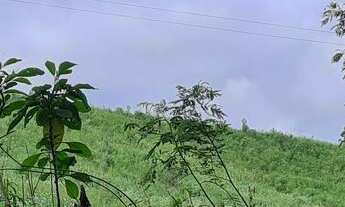 Imagem: Área Rural C -20.012m² - Chácara para