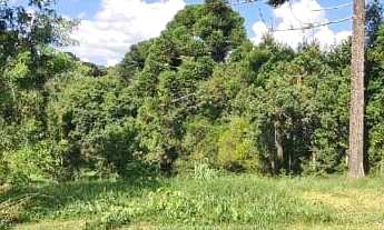 Imagem 4: Chácara 9.600m² - Timbotuva - Campo Largo!