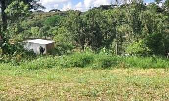 Imagem 3: Chácara 9.600m² - Timbotuva - Campo Largo!