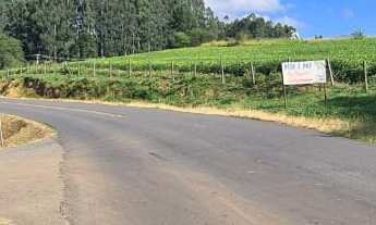 Imagem 5: Chácara 9.600m² - Timbotuva - Campo Largo!