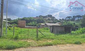 Imagem 5: Terreno Lote em Jardim Keli Cristina, Campo Largo/PR