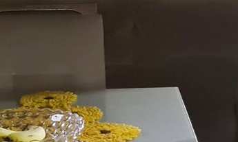 Imagem 3: Casa 02 Quartos - Jardim Itaqui!