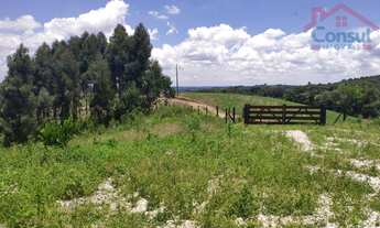 Imagem: Chácara - Àrea Rural B - Rodeio Santo
