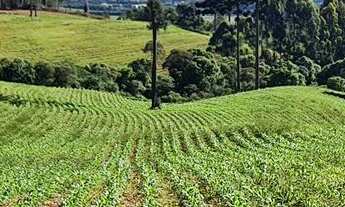 Imagem 7: Área 08 - Chácara - área p Chácara! Morro Grande - Balsa Nova!