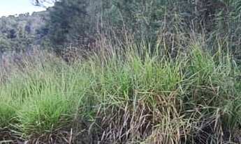 Imagem 2: Área Rural - Pedra Azul ! Area para Formar Chácara! **Oportunidade*