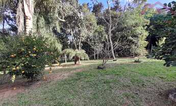 Imagem 5: Chácara 33.000m² - Bugre - Balsa Nova - PR