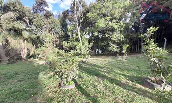 Imagem 4: Chácara 33.000m² - Bugre - Balsa Nova - PR