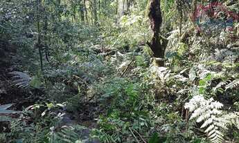 Imagem 5: Área Rural para formar Chácara