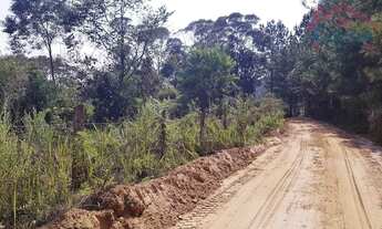 Imagem 2: Área Rural para formar Chácara