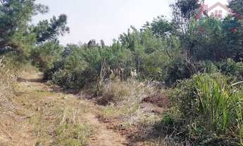 Imagem 4: Área Rural para formar Chácara