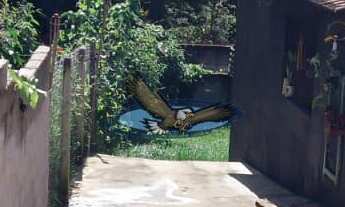 Imagem 5: Casa à venda no bairro Loteamento Fernando Momentel - Itatiba/SP