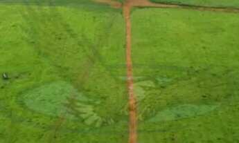 Imagem: Fazenda à venda no bairro Centro - Machado/MG