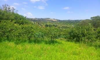 Imagem 3: Sítio à venda no bairro Mombuca - Itatiba/SP