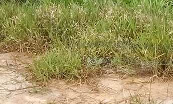 Imagem 2: Terreno à venda no bairro Jardim Panorama - Itatiba/SP