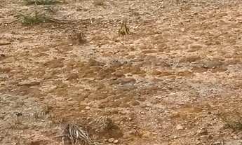 Imagem 7: Terreno à venda no bairro Jardim Panorama - Itatiba/SP